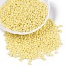 Baking Paint Glass Seed Beads SEED-T006-03B-3