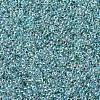 MIYUKI Round Rocailles Beads X-SEED-G007-RR0263-4