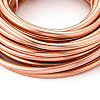 Round Anodized Aluminum Wire AW-S001-6.0mm-04-2