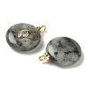 Natural Labradorite Pendants G-H328-08G-B18-2