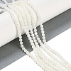 Natural Freshwater Shell Beads Strands BSHE-H109-03B-2