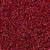 MIYUKI Delica Beads SEED-X0054-DB0602-3