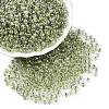 6/0 Transparent Inside Colours Glass Seed Round Beads X1-SEED-N006-004H-1