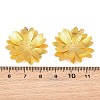Brass Filigree Cabochons KK-CBACEE9-02B-G-3