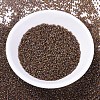 MIYUKI Delica Beads SEED-J020-DB0287-2