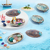 Natural Paua Shell Display Decorations DJEW-WH0042-147-4