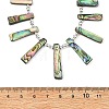 Natural Paua Shell Rectangle Trapezoid Graduated Beaded Necklaces NJEW-JN06353-4