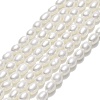 Natural Cultured Freshwater Pearl Beads Strands PEAR-J006-07F-1