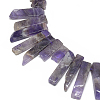 Natural Amethyst Beads Strands G-S318-03-1