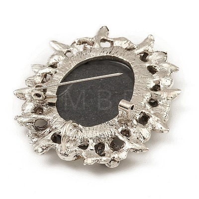 Alloy Rhinestone Brooch for Clothes Backpack JEWB-Q030-52AS-1