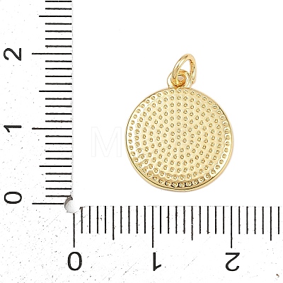 Brass Enamel Pendants KK-L251-02G-E04-1