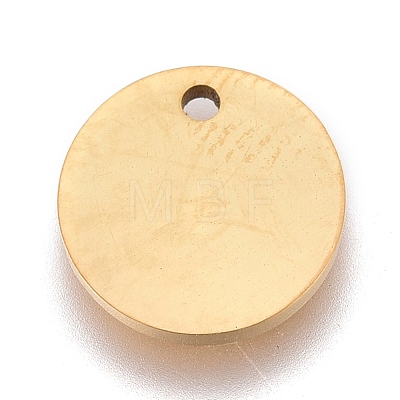 Ion Plating(IP) 304 Stainless Steel Charms STAS-L247-006D-G-1