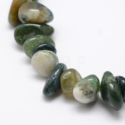 Natural Moss Agate Beads Strands G-F521-10-1
