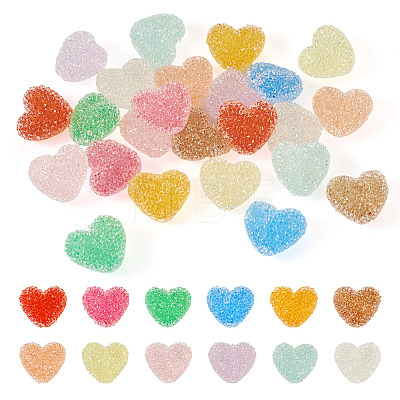  24Pcs 12 Colors Resin Beads RESI-TA0002-46-1