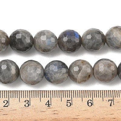 Natural Labradorite Beads Strands G-L642-F07-12mm-1