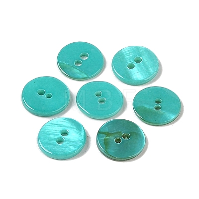 Spray Paint Natural Freshwater Shell Button BSHE-H018-15C-1