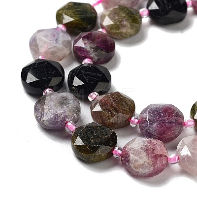 Natural Tourmaline Beads Strands G-NH0004-042-1