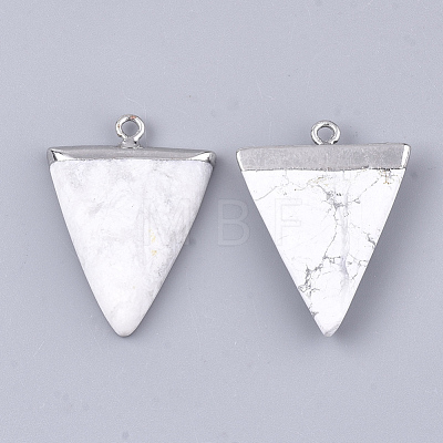 Electroplate Natural Howlite Pendants X-G-S344-49I-1