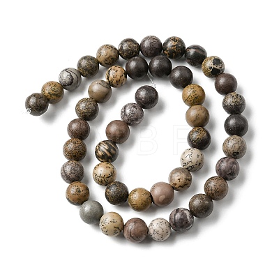 Natural Dendritic Jasper Beads Strands G-E598-01-1