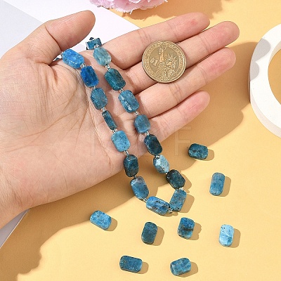 1 Strand Natural Apatite Beads Strands G-YW0002-96-1