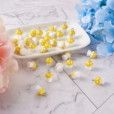 Plastic Pendants KY-TA0001-15B-1