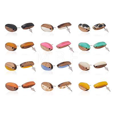 Craftdady 12Pairs 12 Colors Opaque Resin & Walnut Wood Stud Earring Findings MAK-CD0001-05-1