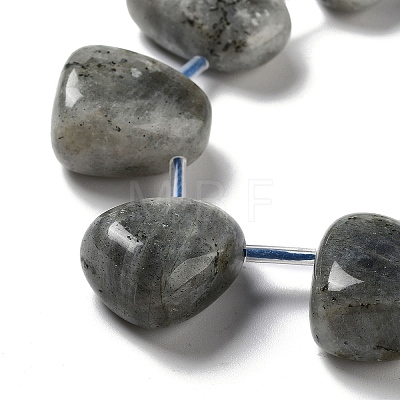 Natural Labradorite Beads Strands G-P528-E10-01-1