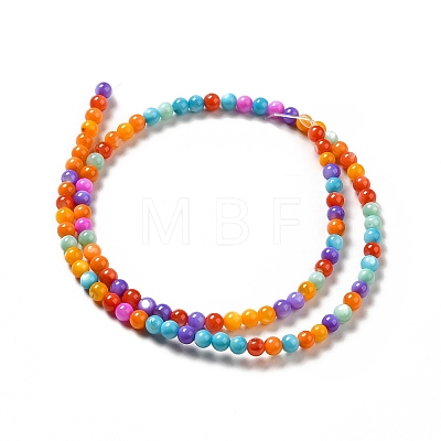 Dyed Natural Freshwater Shell Beads Strands X-SHEL-G014-05C-04-1