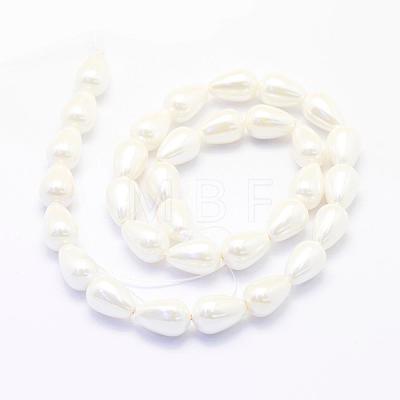 Shell Pearl Beads Strands BSHE-P024-02-1