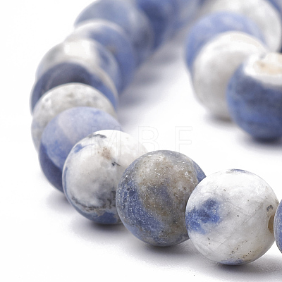 Natural Sodalite Beads Strands G-T106-213-1