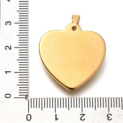 304 Stainless Steel Pendants STAS-B079-03G-03-1