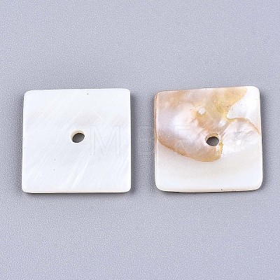 Natural Freshwater Shell Beads SHEL-S276-109A-01-1