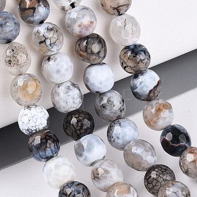 Dyed & Heated Natural Fire Crackle Agate Beads Strands G-N359-01A-03-1
