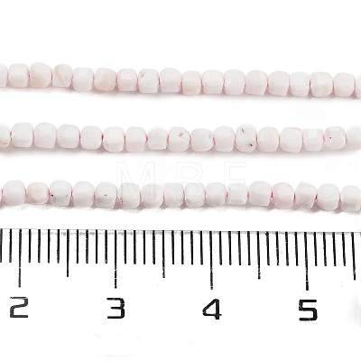 Natural Sea Shell Beads Strands G-H042-B33-01-1