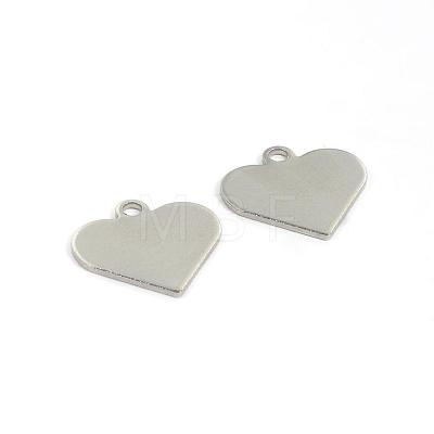 Tarnish Resistant 304 Stainless Steel Charms STAS-D431-27-1
