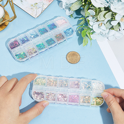 2 Bags 2 Colors 12 Grid Nail Art PET & ABS Sequins/Paillette MRMJ-SP0001-32-1