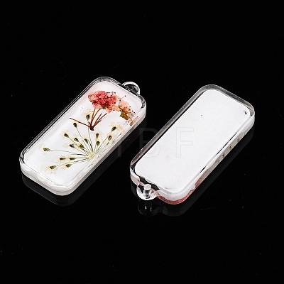 Epoxy Resin Pendants RESI-T058-02I-1