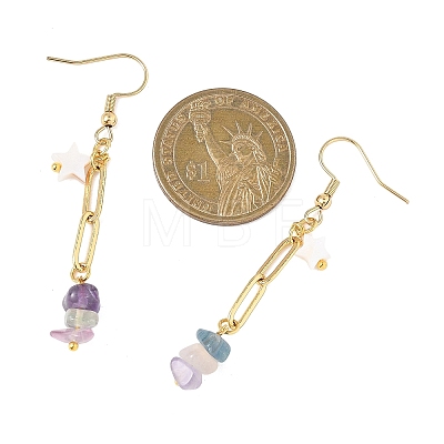 Natural Mixed Stone Nuggets Dangle Earrings EJEW-JE06811-1
