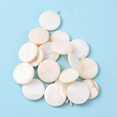 Natural Freshwater Shell Beads S00C20W3-1