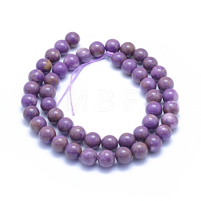 Natural Lepidolite/Purple Mica Stone Beads Strands G-L552H-09C-1