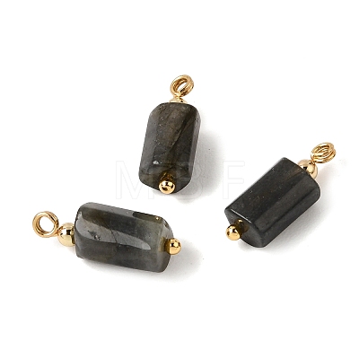 Natural Larvikite Pendants GG-CBACE45-02G-04-1