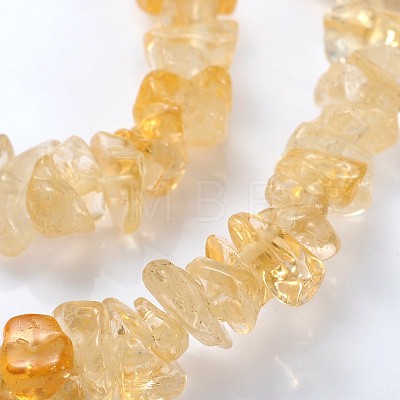 Gemstone Beads Strands F044-1