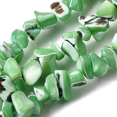 Natural Trochid Shell/Trochus Shell Beads Strands SHEL-B003-02D-1