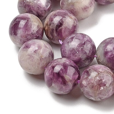 Natural Lepidolite/Purple Mica Stone Beads Strands G-G160-A01-03-1