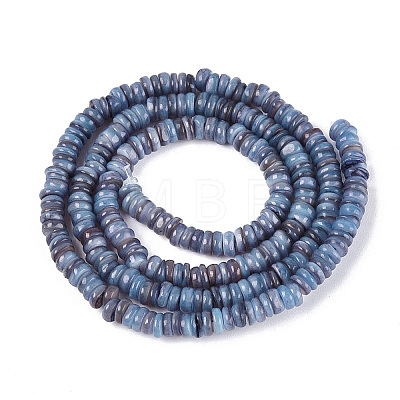 Natural Freshwater Shell Beads Strands SHEL-Q028-01G-1