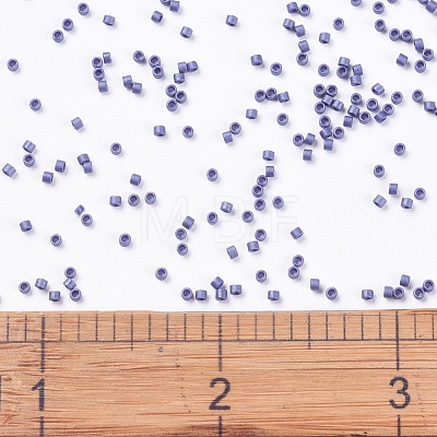 MIYUKI Delica Beads X-SEED-J020-DB0377-1