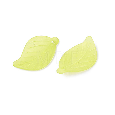 Transparent Acrylic Pendants FACR-R007-12-01-1