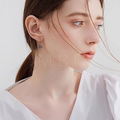 Spider Zinc Alloy Rhinestone Dangle Earrings FS-WGFA087-01-1