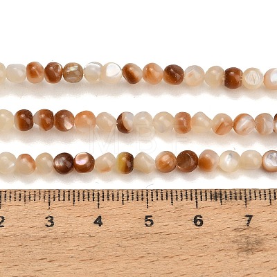 Natural Sea Shell Beads Strands SH-CBA93AD-02-1