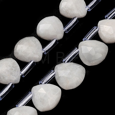 Natural Rainbow Moonstone Beads Strands G-C292-A01-01-1